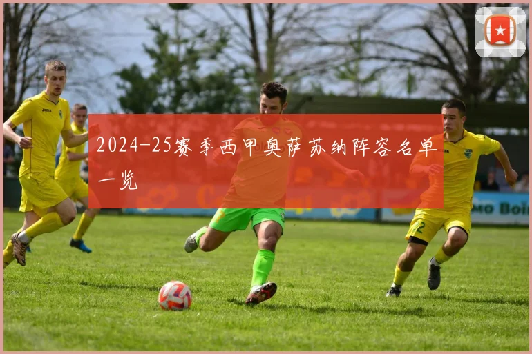 2024-25赛季西甲奥萨苏纳阵容名单一览